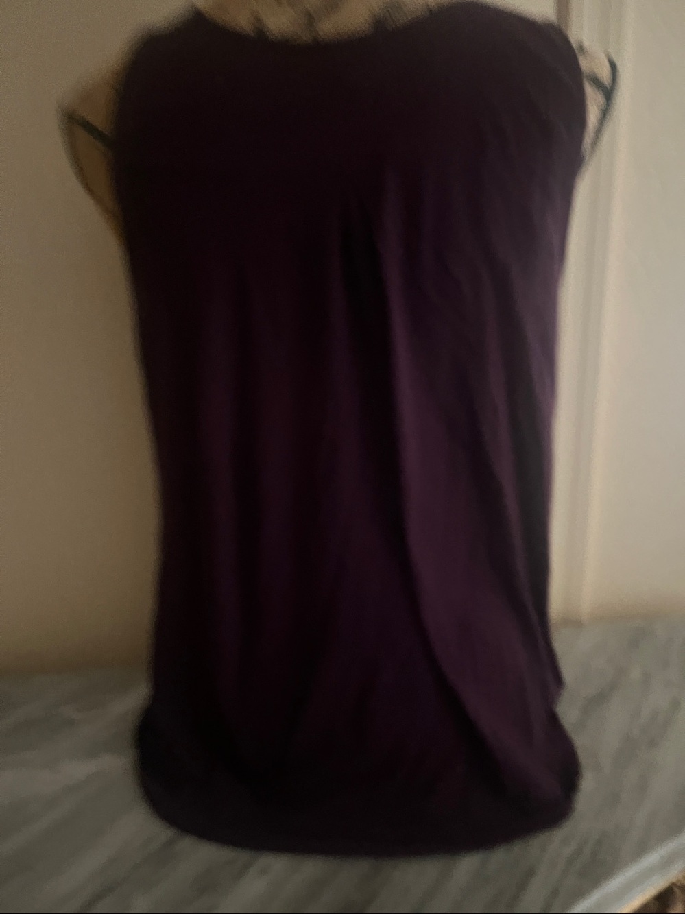 Express Plum Sleeveless Zip-Front Camisole - Picture 2 of 3